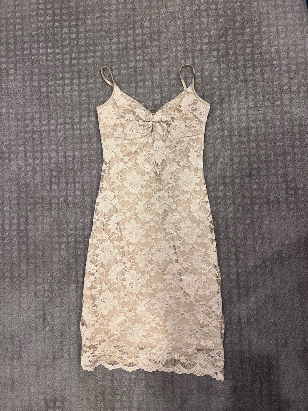 Sleeveless Lace Sheath Dress in Blush